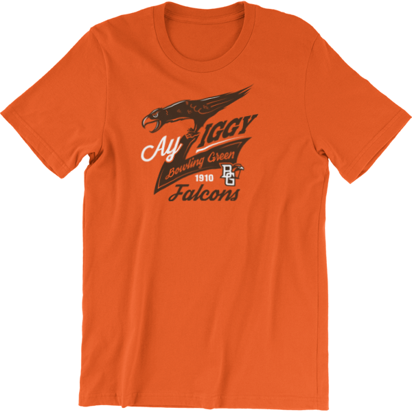 BGSU Falcons Ay Ziggy Spirit T-Shirt