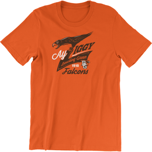 BGSU Falcons Ay Ziggy Spirit T-Shirt