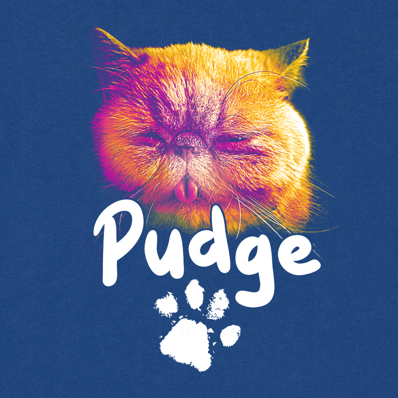 Pudge the Cat Crewneck Sweatshirt (Presale)