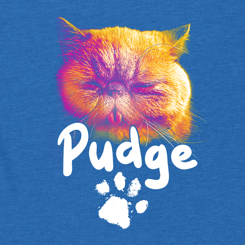 Pudge the Cat BGSU close-up tshirt